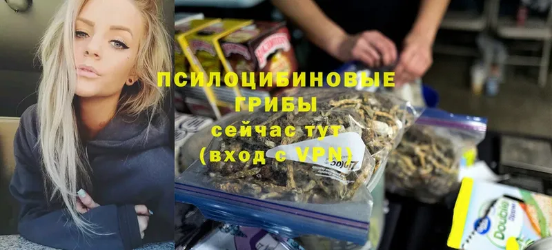 Галлюциногенные грибы Cubensis  Константиновск 